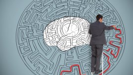 Колко вида интелект може да притежава човек?