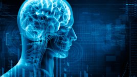 Амиотрофичната латерална склероза отвъд предизвикателството „Ледена кофа“