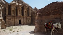 Притча за магарето