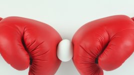 Насилието над жени е най-често срещаното нарушаване на човешките права