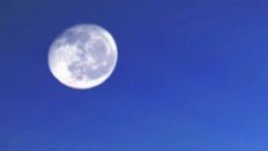 Лунна диета – октомври 2008