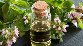 10 природни антибиотика за добро здраве през есента