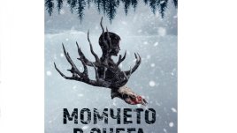 „Момчето в снега“ крие зловещи тайни