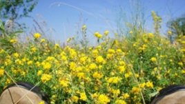 Туризмът гълта на един залък дивите места в България