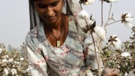 Грижа за памучните дрехи