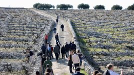 Българското розе Face 2 Face (F2F) спечели златен медал на световен конкурс