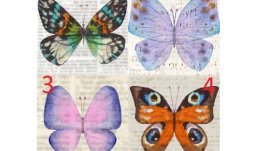 Изберете пеперуда и вижте какво ще ви донесе пролетта