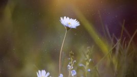 Мисъл на деня за... душата