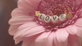 Мисъл на деня за... истинската любов