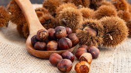 5 причини кестените да са толкова полезни 
