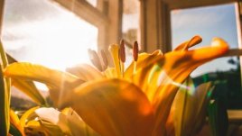 Мисъл на деня за... силата на думите и енергията, която привличат