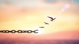 Ако започвах живота си отначало