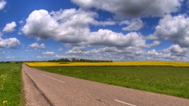 Мисъл на деня