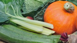 Сезонни зеленчуци, задължителни за зимната трапеза