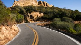 Мисъл на деня