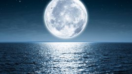 Лунната диета за месец май 2016