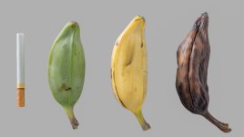 Храни, които чистят организма от никотина 