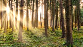 Магията на любовта, интриги и страсти в стила на „1001 нощ“