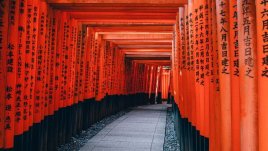 Мисъл на деня за... думите