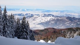Витоша слиза пред НДК