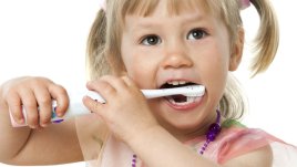 Стволови клетки от зъб? Възможно е!