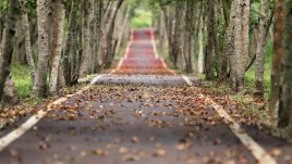 Мисъл на деня за хората и пътищата