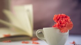 Мисъл на деня от Хули Леонис