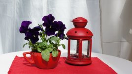 Честит имен ден на Екатерина, Катрин и Катя