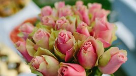 Богата селекция от сезонни цветя в BILLA ще бъде достъпна целогодишно