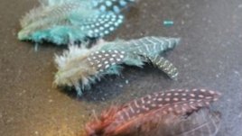 Красива идея за шноли с пера