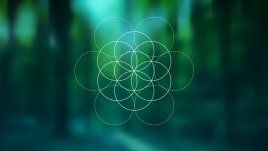 Вдъхновяващи цитати, които ще ви помогнат да повярвате в себе си 