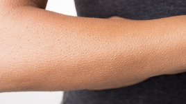 Малко познати, но интересни факти за рефлексите 