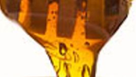 Медът – храна на боговете