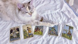 Таро карта за 21 май