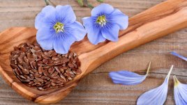 Напитка с ленено семе топи килограми