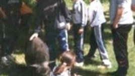 Българските ученици се радват на най-дълга лятна ваканция