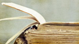 Мисъл на деня