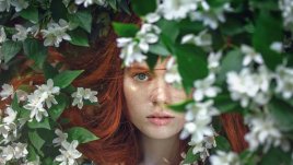 Мисъл на деня за... чудесата