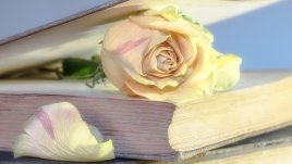 Мисъл на деня... за приятелите и предателите