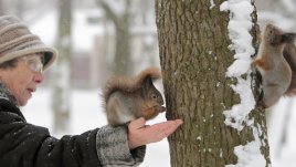 Какво да правим в снежните, студени дни?