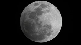 Лунна диета – януари 2013