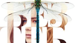 Да оцелееш при самолетна катастрофа