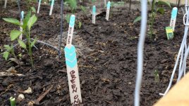 Улеснение за разпознаване на подправките