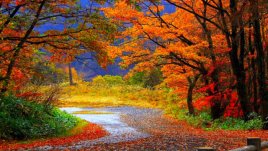 Тест: Какво ще ви донесе есента?