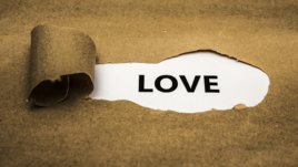 Мисъл на деня от Хорхе Букай