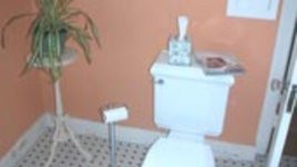 Отглеждане на растения в баня