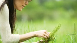 Наръсете се с мълчана вода на Витоша за Еньовден