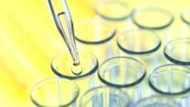 Протест срещу разпространението на генно модифицираните организми