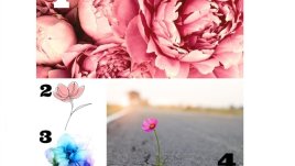 Изберете цвете и вижте какво ви очаква в последната седмица на август