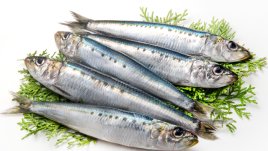 Правилните продукти за здрави кости